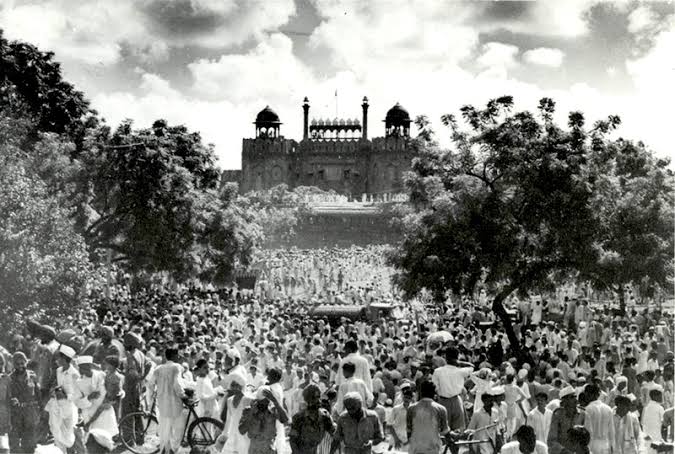 Azadi ki Chhaon Mein Jalte Darakht