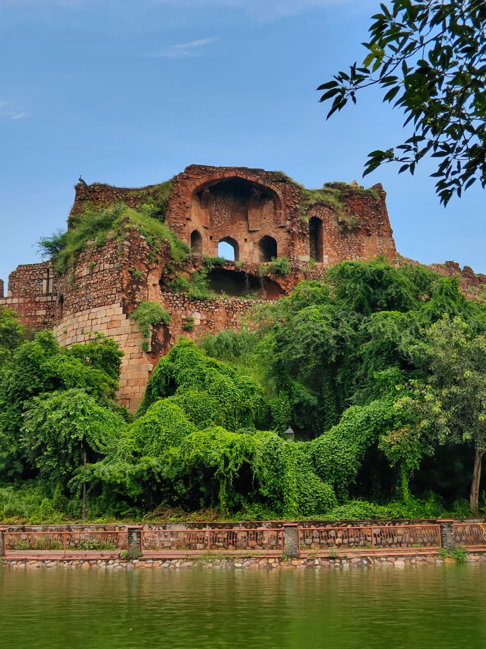 The Archive of Shadows: A Monsoon Heritage Walk Along the Purana Qila Walls