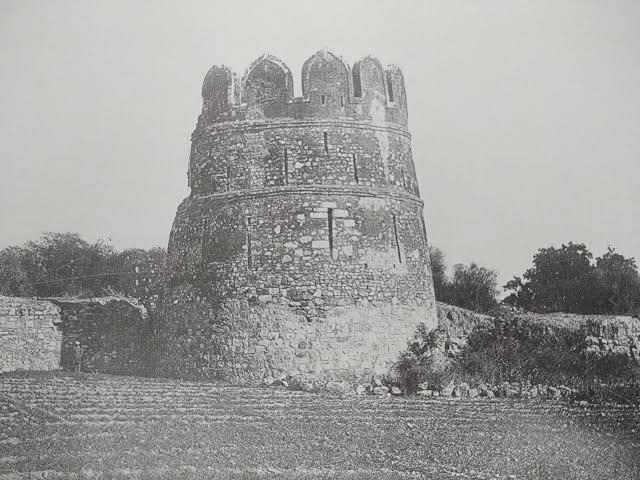 Stones that Whisper: Heritage Walk Along the Siri Fort Wall